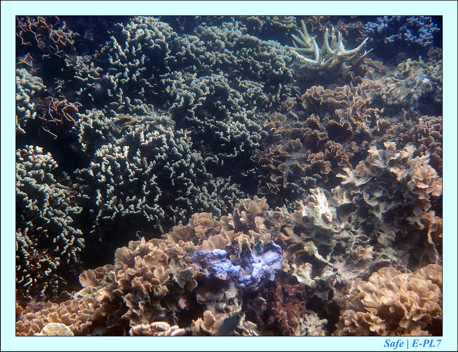 2015   07   Peranthian Islands 15